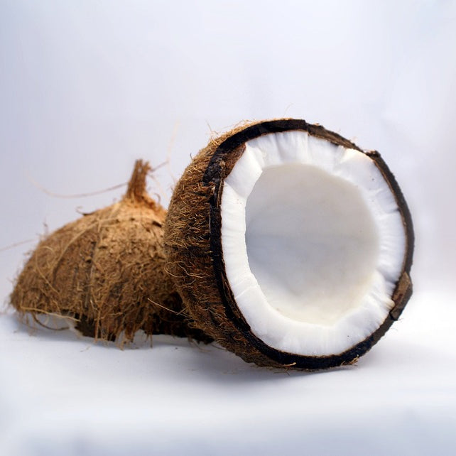 Genussprofil 10: Kokosnuss